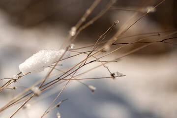 beautiful winter landscape with snow covered trees