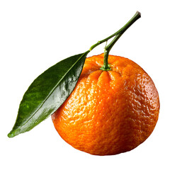 tangerine orange realistic high quality orange png transparent background