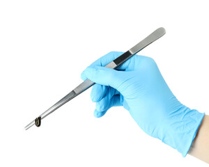 Doctor holding medicinal leech with tweezers on white background, closeup