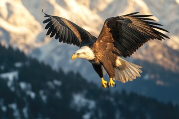 A bald eagle soaring above a majestic mountain range, with snow-capped peaks and rolling hills
