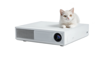 Adorable cat lounging on a projector, cozy scene of feline relaxation and home entertainment