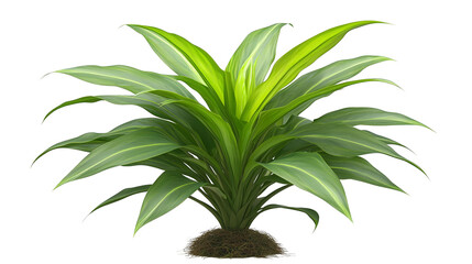 Fototapeta premium Vibrant green plant thriving against a dark, contrasting backdrop, study in life, growth and natural beauty