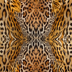 Seamless camouflage fabric texture. Abstract background and texture for design.