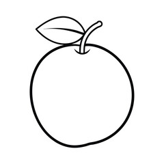 vector illustration of a green apple