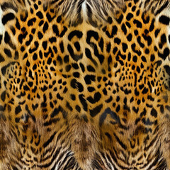 Seamless camouflage fabric texture. Abstract background and texture for design.