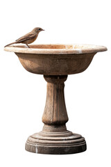 Isolated Bird Bath
