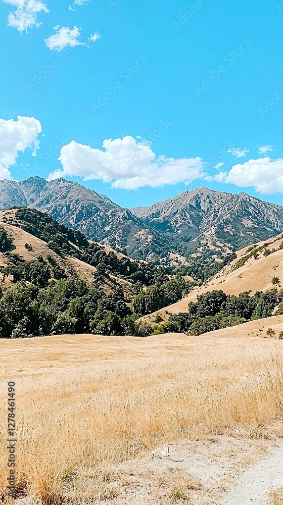 Wall mural a scenic view of mountains under a bright blue sky, featuring golden grasslands and patches of green