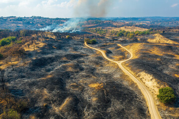 Landscape of a burned forest after a wildfire, highlighting environmental damage