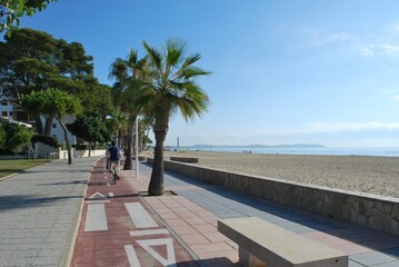 Fototapeta premium road, beach, palm, tree, sea, sky, summer, trees, resort, vacation, water, palm tree, nature, palms, travel, street, sand, coast, landscape, palm trees