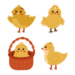 Cartoon set with lovely chick in different poses. Young baby chicken waving hello with wings, in the basket, side view. Cheerful hand drawn farm bird as symbol of Easter isolated on background.