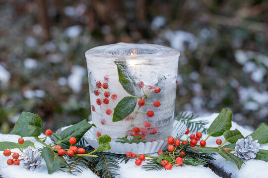 Eislaterne mit Stechpalmenbeeren ( Ilex aquifolium) im Wintergarten