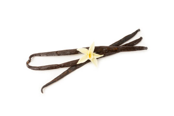 Vanilla pods isolated on white background. Vanilla flowers and seeds. vanilla stick bean. Aromatic spicy spice for pastries and desserts. Seasoning. Space for text. Copy Space