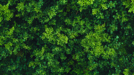 Vibrant mossy green texture background for nature design and creative use