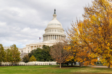 Naklejka premium The U.S. Capitol in Washington, D.C., surrounded by vibrant autumn foliage