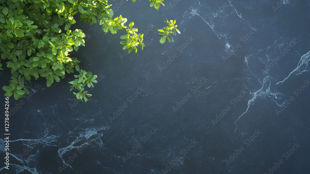 Aufkleber modern design with green foliage on matte black slate texture for nature inspired backgrounds