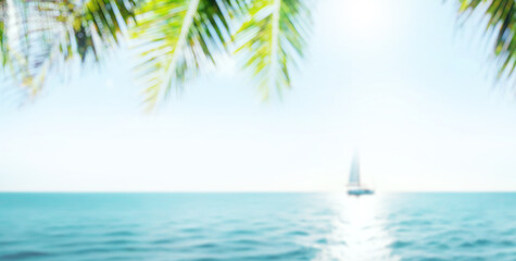 A serene seaside view with soft-focus palm leaves in the foreground and a sailboat gently gliding...