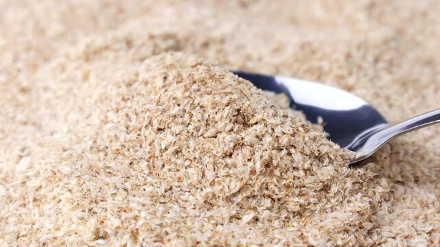 Psyllium husk (Ispaghula) taking with a spoon close up. Dietary fiber product