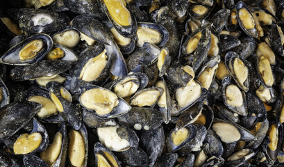 Frozen mussels fishmonger