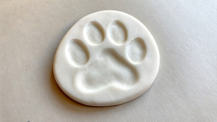 White clay paw print imprint on a smooth surface with soft natural lighting