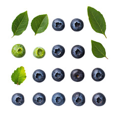 Blueberries, a realistic photograph, on a Transparent background,