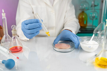 Food safety testing of raw chicken meat in a lab. A quality control expert examines a sample in a petri dish.