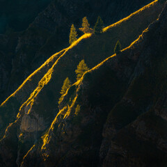 Last light