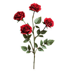 Fototapeta premium Red roses on a Transparent background,