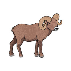 Vector Colorful Illustration of Snow Sheep Isolated on White Background