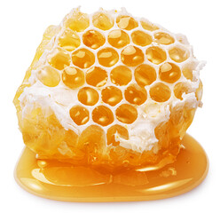 Raw honeycombs filled with fresh honey in honey puddle on white background. File contains clipping...