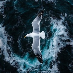 Seagull Soaring Over Turbulent Ocean
