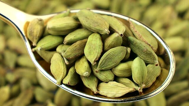 Dried green cardamom pods in the spoon with background circle rotation close up