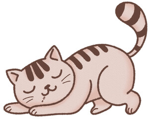 cat and mouse