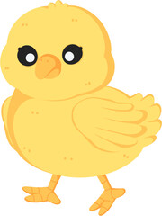 illustration chick