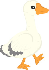 illustration goose