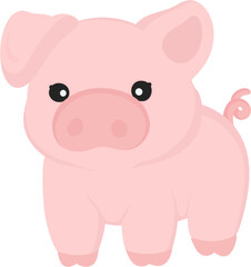illustration pig
