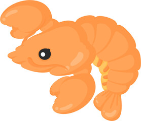 illustration shrimp