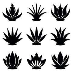 Set of Black and White Silhouettes of Agave Plants design