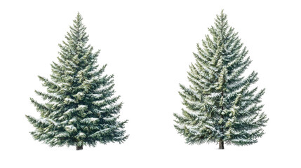 Snow-covered fir tree cutouts isolated on transparent backdrop, ideal for seasonal winter design and holiday graphics