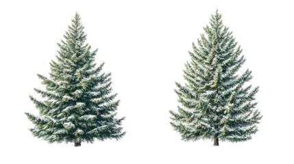 Snow-covered fir tree cutouts isolated on transparent backdrop, ideal for seasonal winter design and holiday graphics