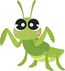 cute insect mantis