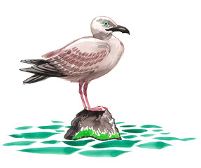 Obraz premium Seagull sitting on a rock. Hand drawn watercolour illustration