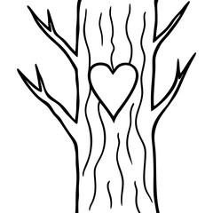 Rustic Love Carved Heart on Tree Line Art