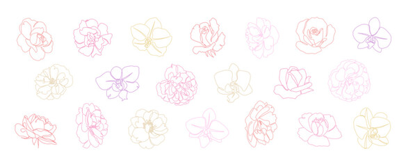 Set of vector continuous line flowers in pastel colors. Rose, peony, orchid blooming flower head minimalistic line illustration for wedding invitations and other floral designs