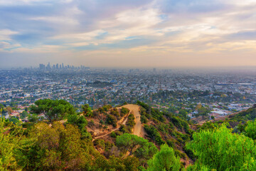 Expansive View of Griffith Park and Los Angeles Cityscape
