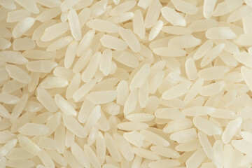 Grains and legumes macro detail shooting (wheat, beans, rice, corn, cereals)