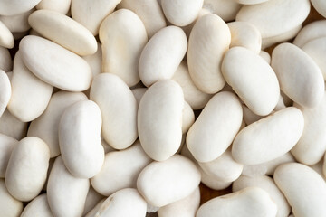 Grains and legumes macro detail shooting (wheat, beans, rice, corn, cereals)