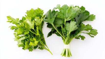 Obraz premium Fresh Bunch of Green Leafy Carrots with Tops Isolated on White Background for Culinary and Health Concepts