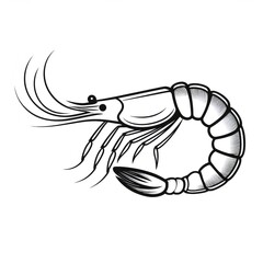 Fototapeta premium Detailed shrimp illustration with flowing lines and curves