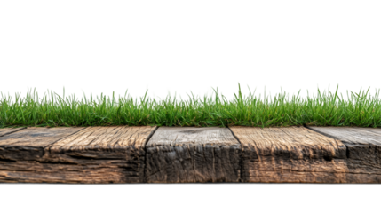 Green grass sprouting behind weathered wooden planks, transparent backdrop offering clean overlay for product design or natural composition