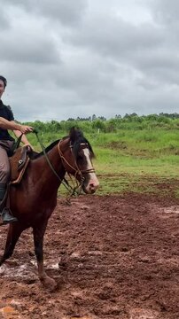 homem com cavalo no campo 
